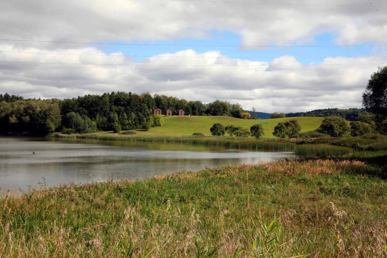 Domek Dzikie Lisko Lesko Exterior foto